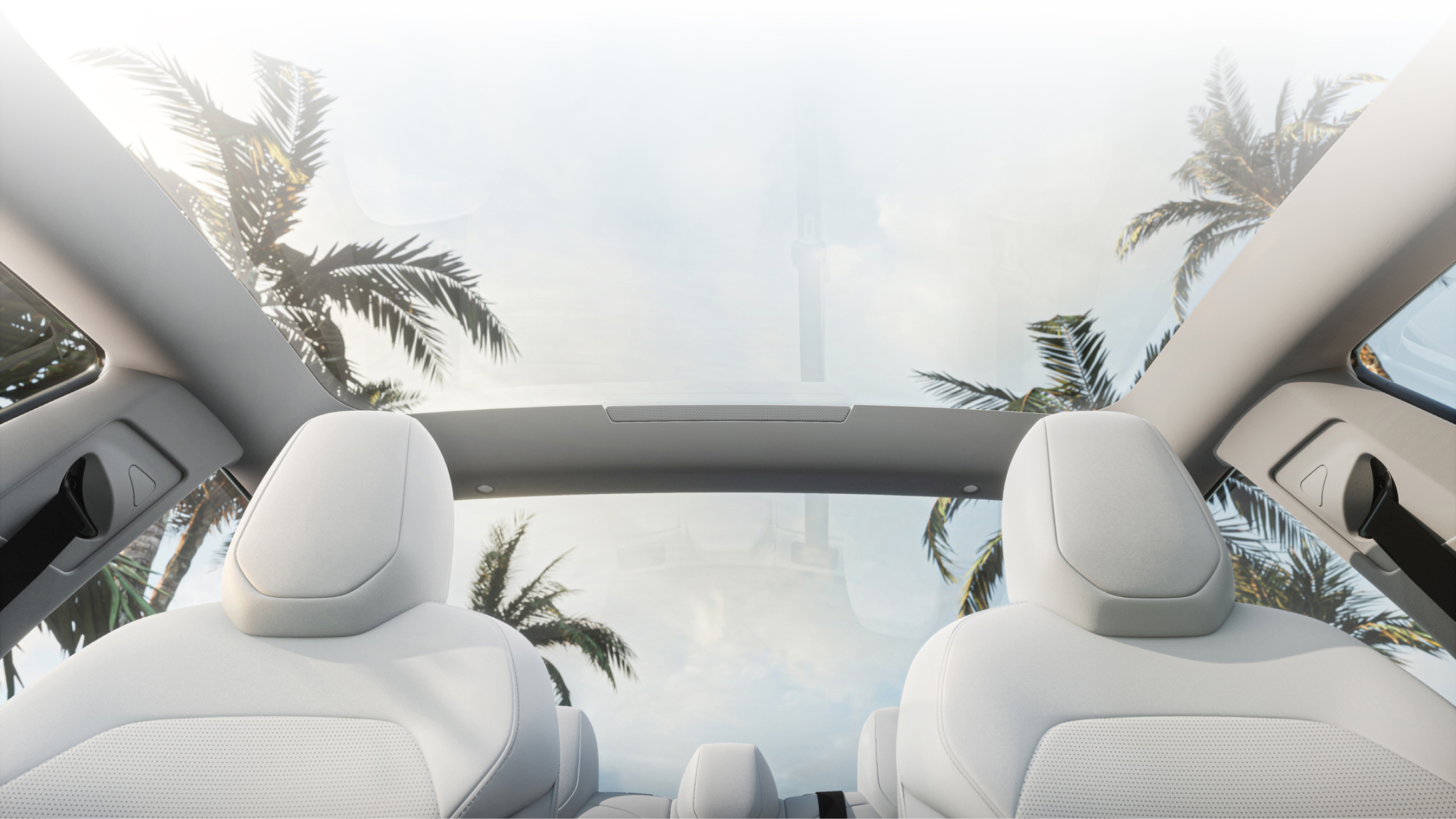 坐在白色前排座椅上向上看的仰视图，透过玻璃车顶眺望棕榈树和蓝天。