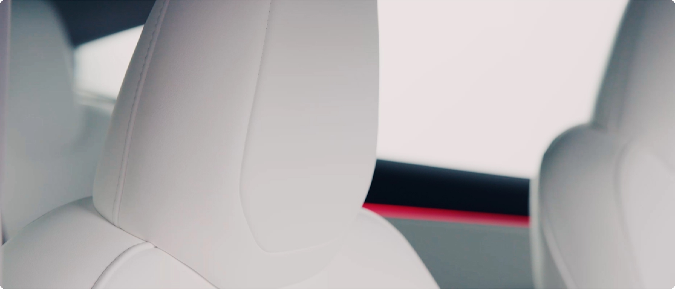Tesla Comfort Plus: Haustier Autositzschoner für Tesla Model S Model X Model  3 Model Y jetzt zum halben Preis -  Österreich